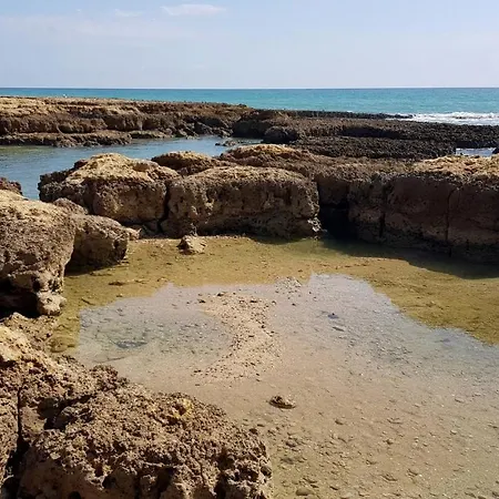 Cozy Garden T1 Near The * البوفيرا