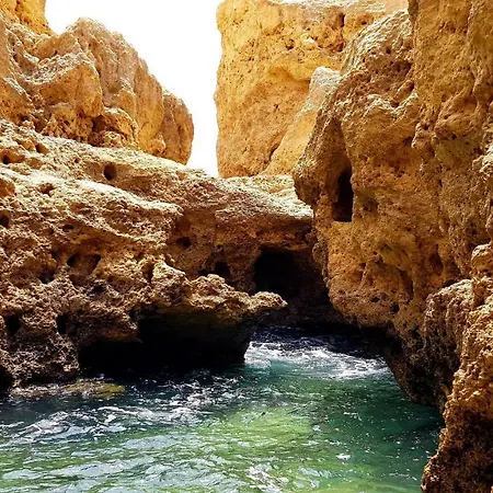 Апартаменти Cozy Garden T1 Near The