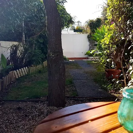 Apartman Cozy Garden T1 Near The